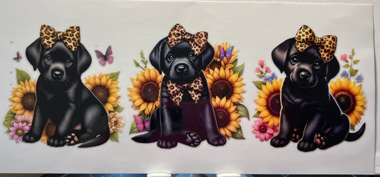 16oz UV DTF Wraps for Children's Drink Bottles or Snow Globes - Black Labradour sunflowers and bows